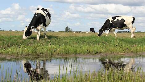 Natuur wint terrein: 457 km² agrarisch grasland verdwenen sinds 2016