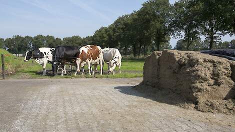 Methaan reduceren: van ongrijpbaar probleem naar kans voor de boer