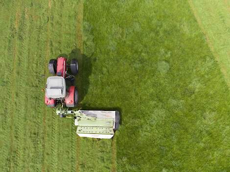 Land van Netwerkdeelnemer Rene Woestenk.