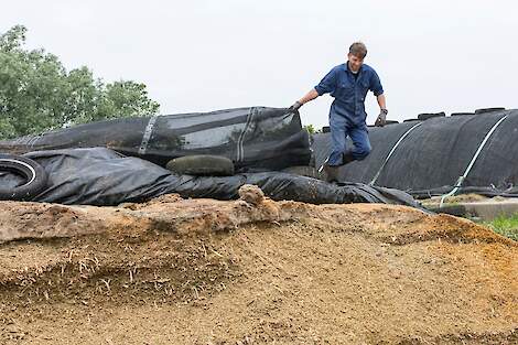 Netwerkdeelnemer Sjoerd Reitsma.