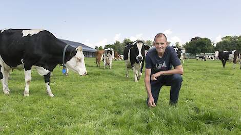 Wout Huijzer zet grasmonsters en ureumgehaltes in als tools om rantsoen mee te finetunen