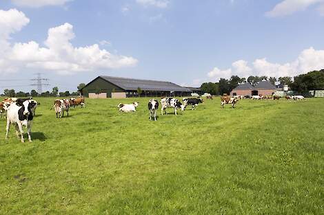 Bedrijf Netwerkdeelnemer Wout Huijzer.