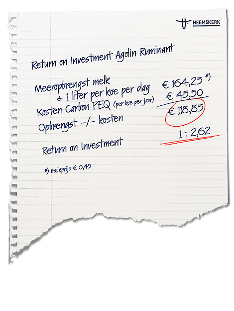 Return on Investment Agolin Ruminant