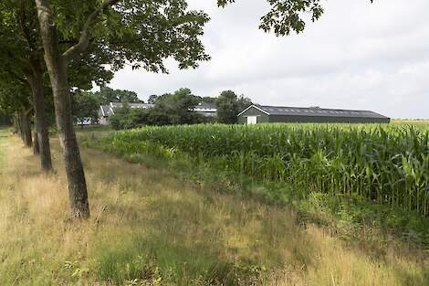 Bedrijf Netwerkdeelnemer Leo Coppens.