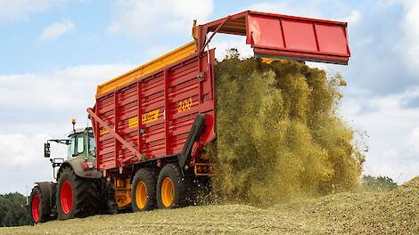 Eurofins: 'De maiskuilen van 2025 hebben een uitstekende voederwaarde'