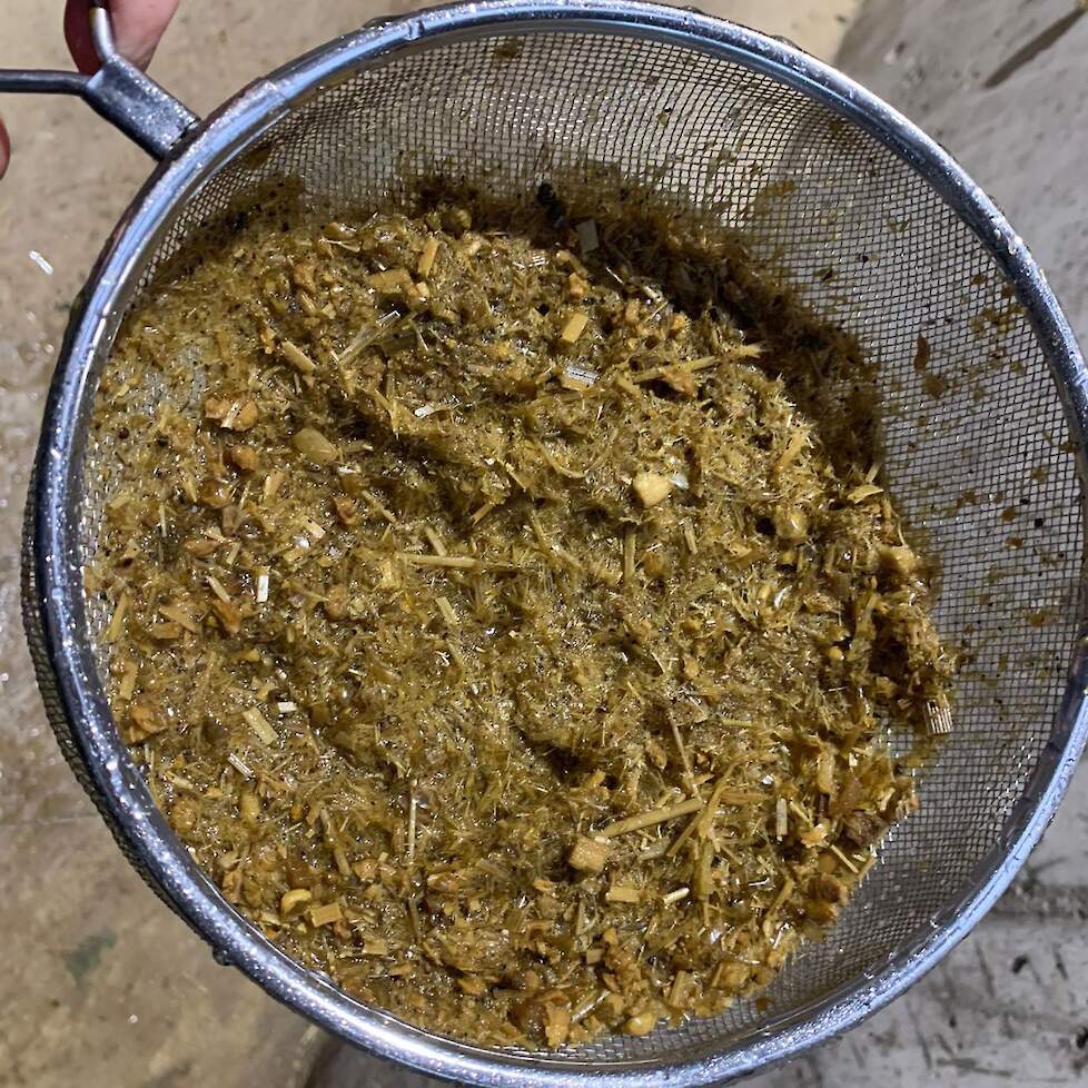 Nagenoeg geen maispitten in de mest