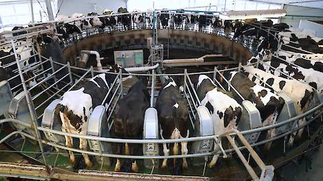 Nederland derde melkproducent van de EU