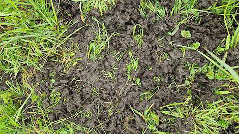 Waarom een mestflat meer zegt dan je denkt