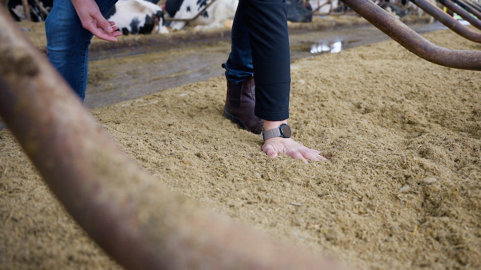 Vlas-kalk mengsel in de box.