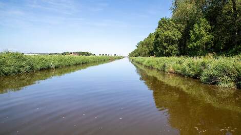 Stikstofbelasting oppervlaktewater door de landbouw gehalveerd