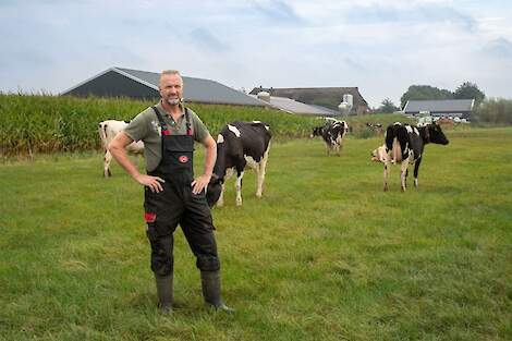 Melkveehouder Edwin Breimer met enkele van zijn koeien op zijn bedrijf in Toldijk.