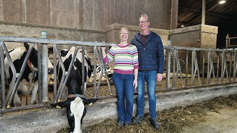 Melkveebedrijf Heida boert na zes jaar weer legaal