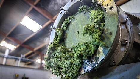 Lely investeert in grasverwerking Grassa