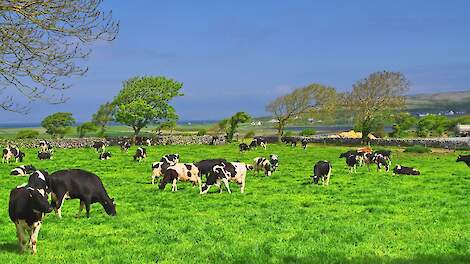 Ierland het enige EU-land met derogatie in 2026