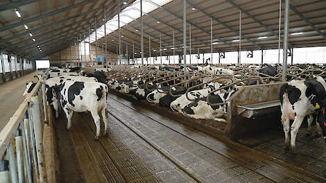 ‘Kies bij nieuwbouw of renovatie voor integrale benadering’