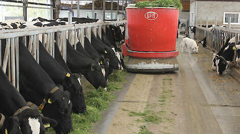 Voerrobot geeft voorsprong, mits boer scherp blijft managen