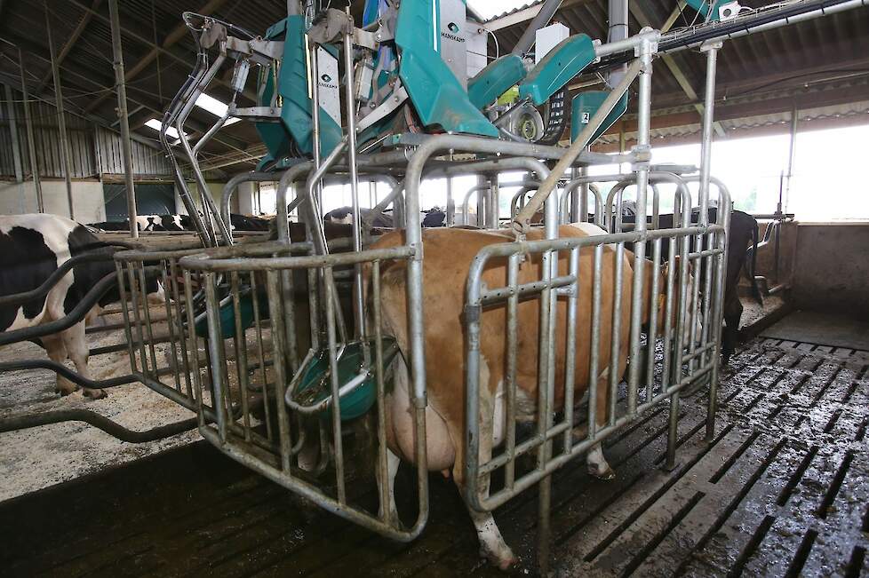 De CowToilet op archiefbeeld.