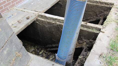 Is de mest wel of niet afgevoerd? Mestboete voor melkveehouder terecht