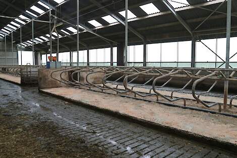 Lege stal zonder koeien.