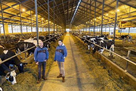 Ralph en Bas Engelen in hun melkveestal.
