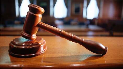 Jaaroverzicht februari: Rechter kent schadevergoeding toe aan melkveehouder met terechte dwangsom