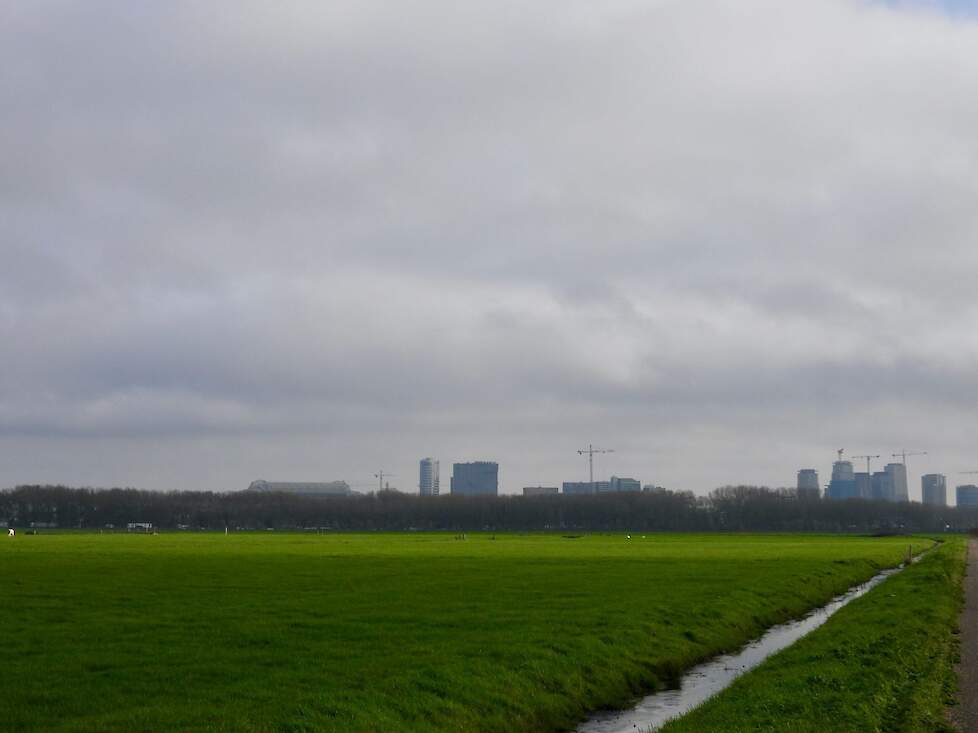 Duivendrechterpolder met de Amsterdam Arena in de verte.