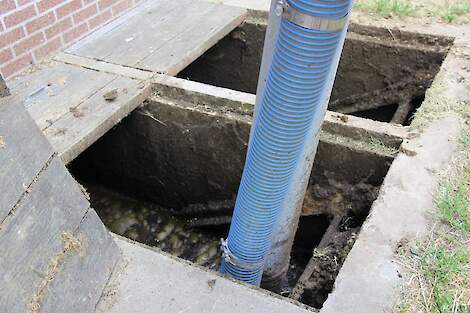 Een slang hangt in een mestput.