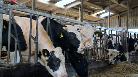 Lagere mestboete melkveehouder juridische strijd