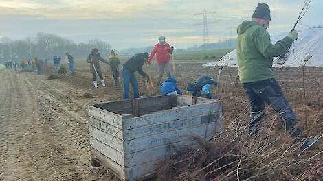 Fotoserie: Ruim één kilometer heg voor biodiversiteit én voor rundvee