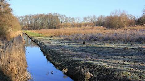 Mestbeleid kent nog veel open eindjes