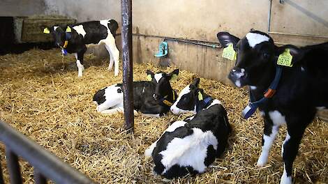 Jaaroverzicht juni: Transportleeftijd kalveren omhoog naar vier weken en rechter veegt bezwaren buren van tafel