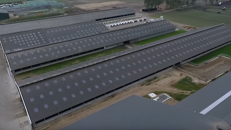 Jaaroverzicht augustus: Vreba Melkvee failliet verklaard en ook weer ingetrokken