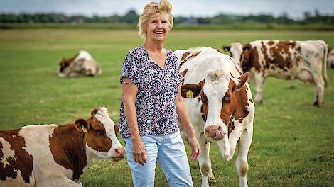 Jaaroverzicht september: Boerin 'kutboerenbriefje' blijft positief en FrieslandCampina haalt flinke hap uit melkprijs