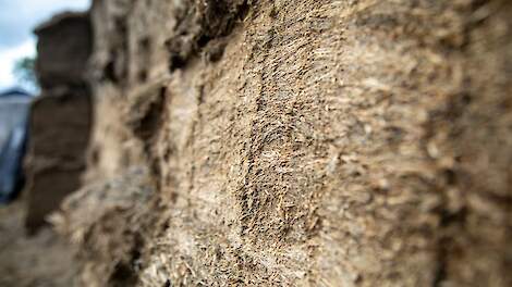 Jaaroverzicht oktober: Melkveehouder mag niet meer 's avonds uitkuilen en met één zieke koe wordt de hele veestapel geruimd