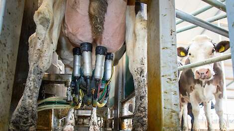 Melkrobotdata voorspelt kreupelheid met 92 procent nauwkeurigheid