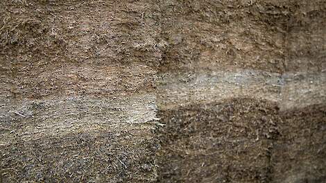 Korting op GLB-subsidies blijft staan voor melkveehouder na fout met voerkuilen