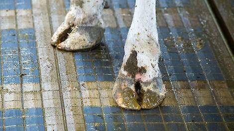 Eerst meten, dan geloven: rechter houdt hogere emissiefactor Bleu Labelsysteem in stand