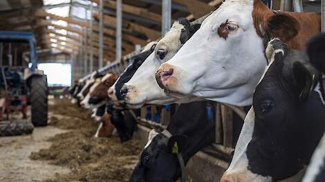 Verdienmodellen bij extensivering