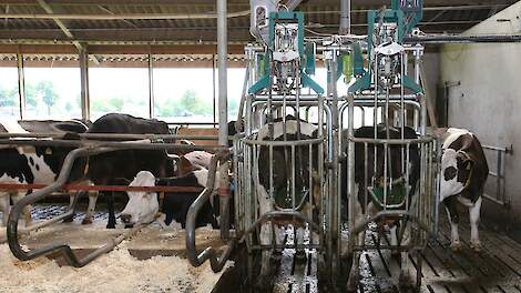 Brabantse melkveehouders stappen nog niet massaal over op CowToilet of Lely Sphere