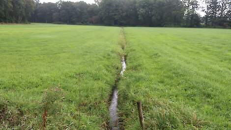 Drie jaar nitraat meten: stoppen bemesting voor natuur lang niet altijd zinvol