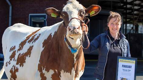 Toosje 724 opnieuw uitgeroepen tot Roodbontkoe van het jaar