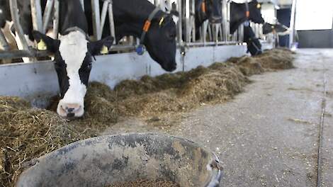 Voergang telt wel mee: melkveehouder krijgt hoger bedrag aan Lbv-subsidie