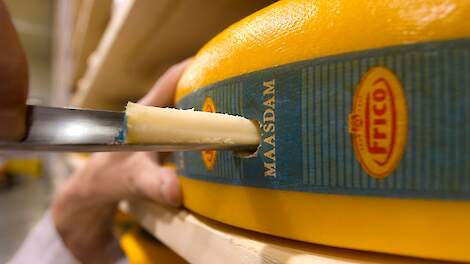 CBS: Totale export landbouwgoederen stijgt, kaas en melk plussen fors