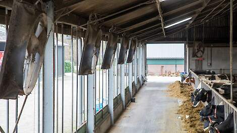 7000 deelnemers Duits welzijnsprogramma QM++