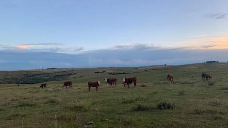 Column: Werken met de seizoenen, bouwen zonder fundament