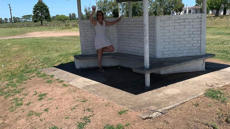 Langs de wegen staan af en toe bushaltes. Of de bus komt, is een groot vraagteken. 's Ochtends tussen 7.00 en 09.00 uur kan er een bus komen, maar de exacte tijd weet niemand. In de middag en 's avonds geldt hetzelfde.