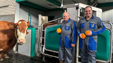Robotmelken als fundament voor kwaliteit en ambacht bij MTS Hogendoorn & Zn.