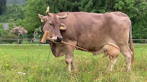 Video: Veronika verrast wetenschap met slim bezemgebruik