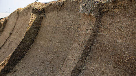 Te vroeg geopende kuil komt veehouder duur te staan