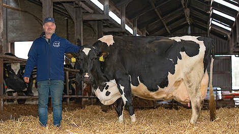 Helft koeien boven de 4% eiwit bij fokker Dreamtime